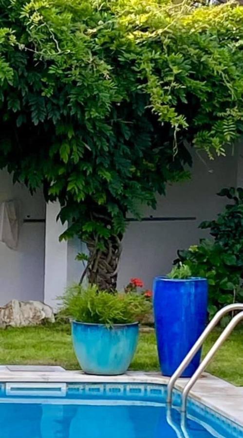 Casa Das Cores Сесимбра Екстериор снимка